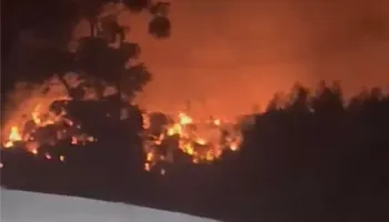 صورة من الحريق