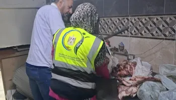ضبط نصف طن لحوم ومصنعات مجهولة المصدر وغير صالحة للاستهلاك داخل احدى المخازن ببورسعيد 