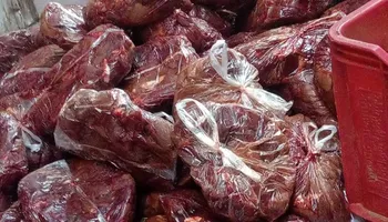 ضبوطات 