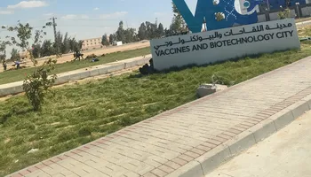 مدينة اللقاحات بالإسماعيلية 