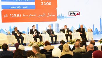 نائب محافظ البحيرة