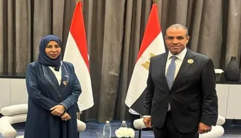 وزير الخارجية 