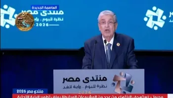 وزير الكهرباء السابق