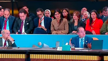 وزير المالية 