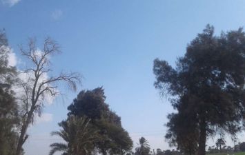 أحوال الطقس ببني سويف 