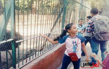  احتفالات المصريين داخل حديقة حيوان
