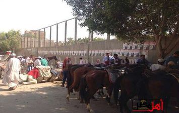 حملة بيطرية لإنقاذ خيول نزلة السمان