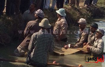 كمية الزريعة المنتجة بمفرخ العباسة