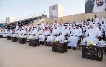استقبال الملك سلمان في الإمارات