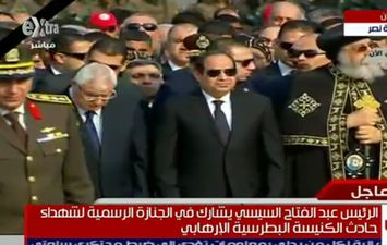 السيسي 