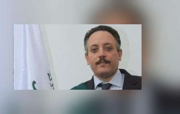 المستشار محمد قنديل نائب رئيس مجلس الدولة