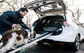 نيسان تصصم سيارة جديدة لاصطحاب الكلاب والحيوانات