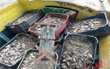 شرطة المسطحات المائية 