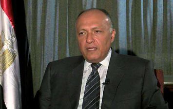 وزير الخارجية سامح شكري