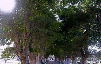 أقدم قصور الإسكندرية