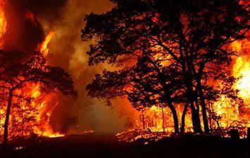حريق غابات ضخم في كاليفورنيا