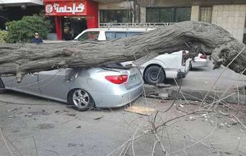 صورة أرشيفية