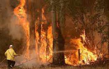 اندلاع 6 حرائق في سيدني بسبب حالة الطقس