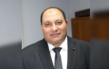 المهندس مصطفى الصياد نائب وزير الزراعة