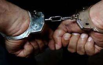 القبض على صاحب ثلاجة بحوزته 12 طن هياكل دواجن فاسدة فى المرج