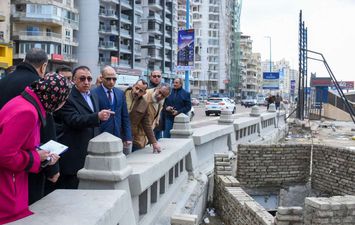 محافظ الإسكندرية يأمر بإيقاف أعمال البناء المعيقة لرؤية شاطئ