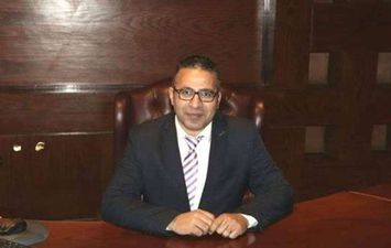 محمد عبد الهادي، الخبير المالي