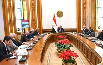 السيسي مع مجلس علماء مصر
