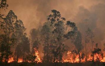  حرائق الغابات  باستراليا