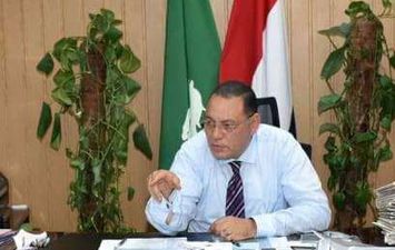 محافظ الشرقية 