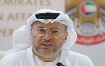   وزير الدولة الإماراتي للشؤون الخارجية أنور قرقاش 