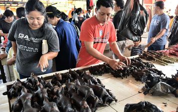  بائع يرتب لحم الخفافيش في سوق تموهون في إندونيسيا ( أ ف ب)