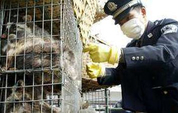حيوانات برية داخل قفص في الصين -أرشيفية- Reuters