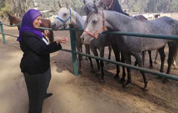 مدير محطة الزهراء للخيول تنفي بيع فصائل نادرة