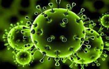 تسجيل 29 إصابة جديدة بفيروس كورونا
