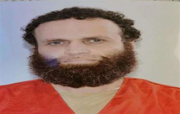 إعدام هشام عشماوي