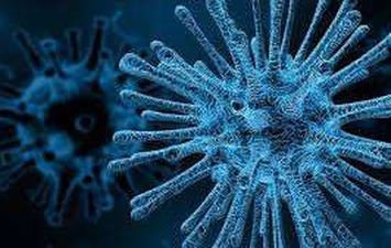 اجراءات الحكومة ضد فيروس كورونا