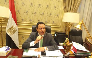 النائب هشام الحصري رئيس لجنة الزراعة والري بمجلس النواب