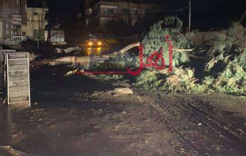  سقوط شجرة وعامود كهرباء أمام المعهد الديني