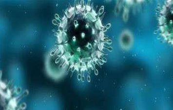 فيروس كورونا في جميع الولايات الأمريكية بعد تسجيل إصابة في وست فرجينيا
