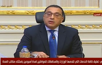  الحكومة المصرية 