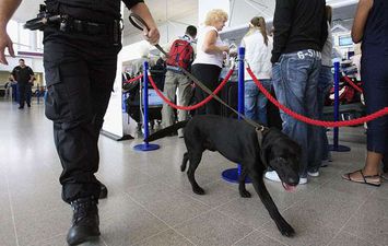 كلاب في المطار 