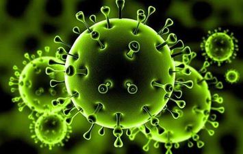 كوريا الجنوبية تعلن تسجيل 376 حالة إصابة جديدة بفيروس كورونا