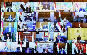 عبر الفيديو كونفرنس.. محافظ المنيا يتابع مع رئيس الوزراء الحالة العامة وإجراءات مواجهة كورونا