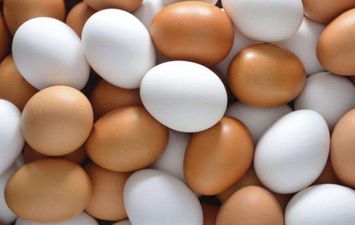 أسعار البيض في الأسواق