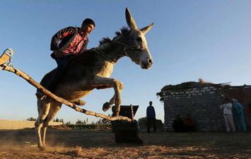 صورة أرشيفية 