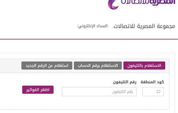 فاتورة التليفون الأرضي على موقع المصرية للاتصالات