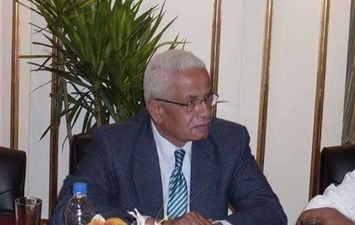 محمود الشندويلي رئيس جمعية مستثمري سوهاج