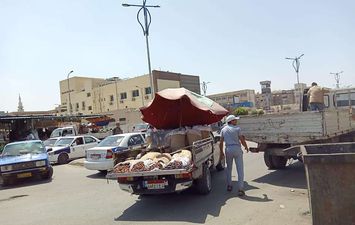 الأحياء تستكمل حملات إزالة الإشغالات والمخالفات البيئية ببورسعيد 