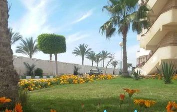 تصاعد الازمة بين اتحاد شاغلي قرية الفردوس وبين محافظ، بورسعيد 