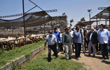 محافظ بورسعيد يتفقد احدي مشروعات الإنتاج الحيوانى بسهل الطينة شرق بورسعيد 
